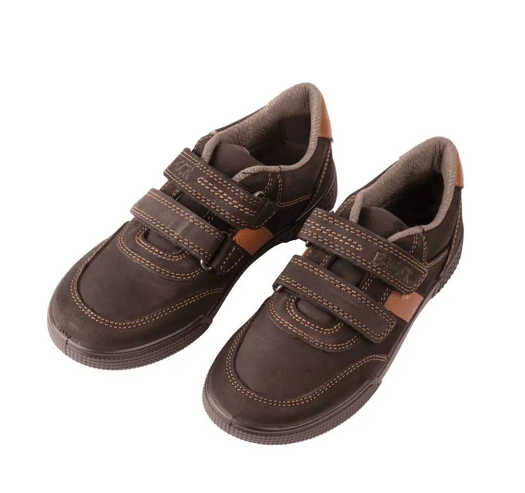 Cobalt  Black & Tan (2).webp